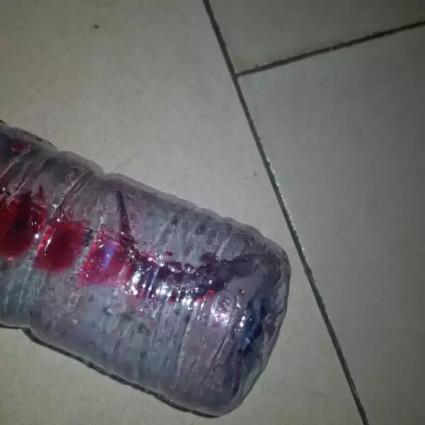 Lady Saw Wall Gecko In Her Zobo Drink After Drinking (Photos)